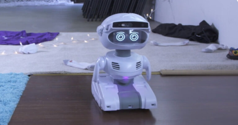 Personal Robots for Kids and Adults - SuiteCRM, WordPress, AI Consulting